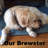 Brewster